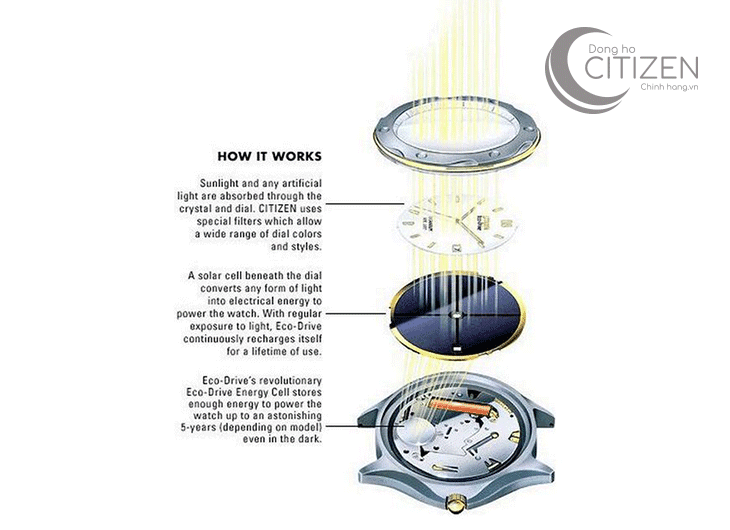 Sử dụng đồng hồ Citizen Eco-drive năng lượng mặt trời